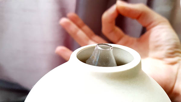 Les huiles essentielles utilisée en voie respiratoire, cutanée et internet, sont une alternative naturelle pour apaiser son esprit et se détendre