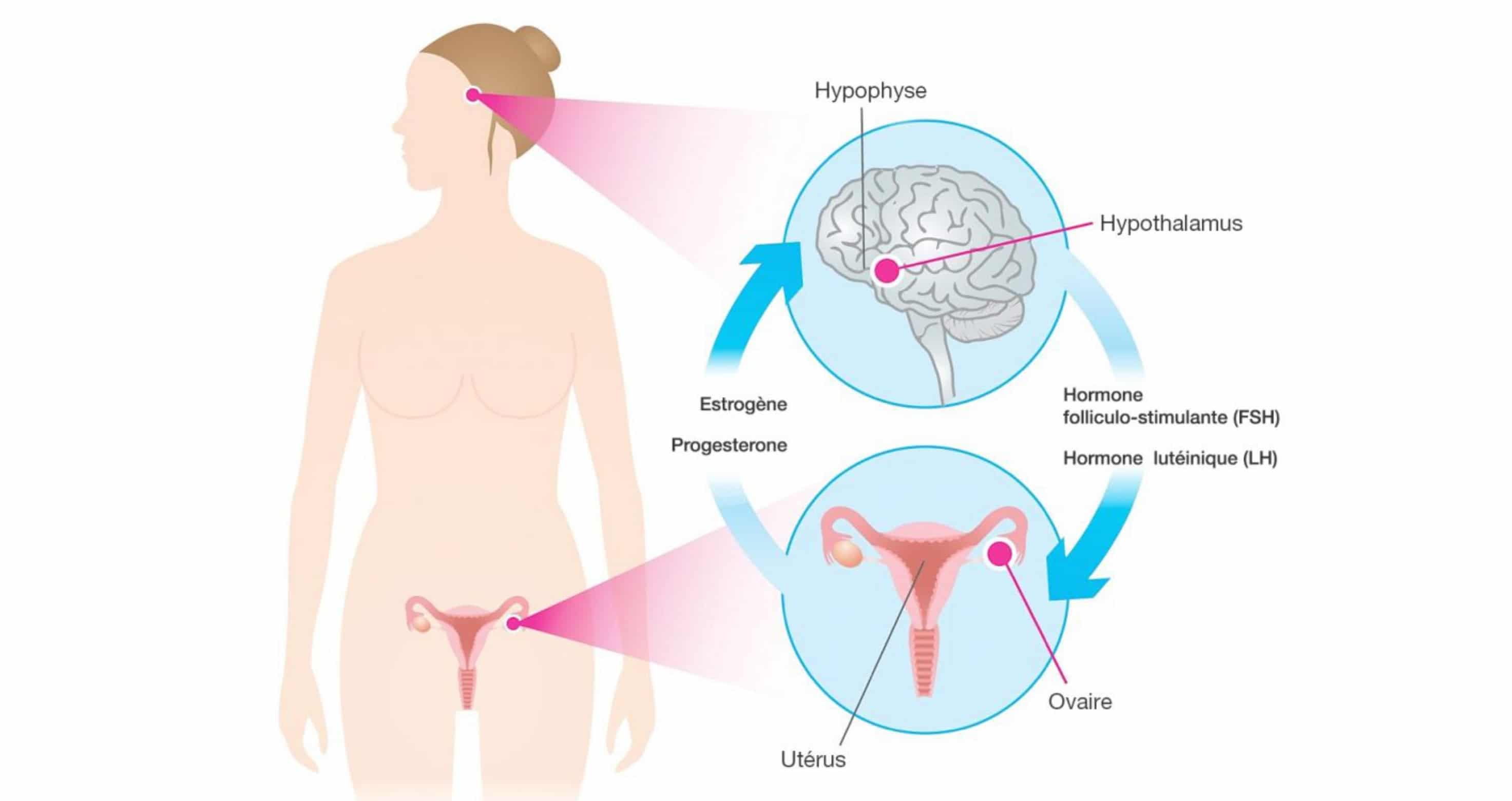 Comment gérer l'acné hormonale après l'arrêt de la pilule ...